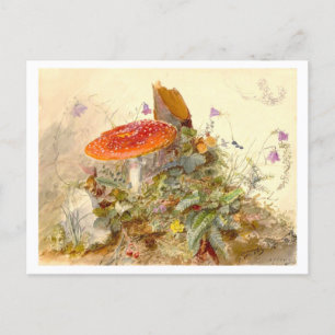 Cartão Postal Vintage Mushroom Meadow Scene