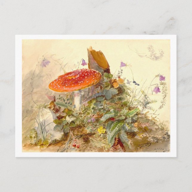 Cartão Postal Vintage Mushroom Meadow Scene (Frente)
