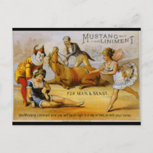 Cartão Postal Vintage Mustang Liniment