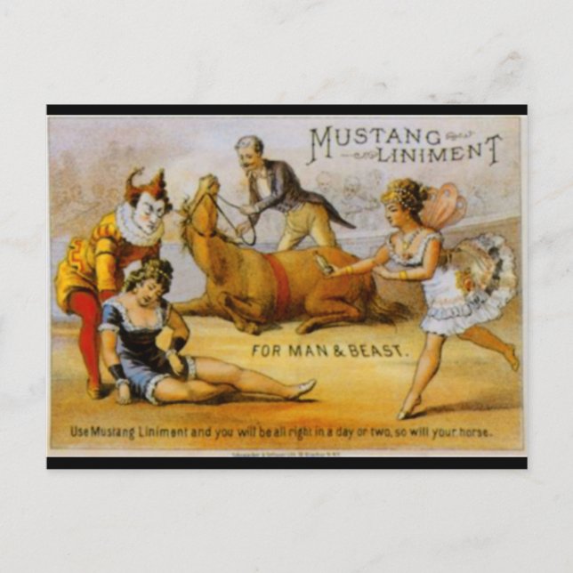 Cartão Postal Vintage Mustang Liniment (Frente)