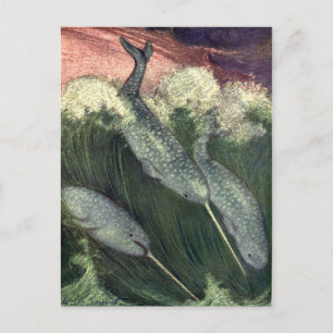 Cartão Postal Vintage Narbaleias, Animais do Oceano Marinho