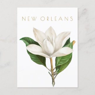 Cartão Postal Vintage New Orleans viagem