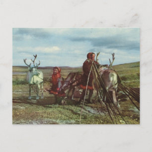 Cartão Postal Vintage Norway, Lapland, Sami with reindeer