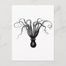 CARTÃO POSTAL VINTAGE OCTOPUS