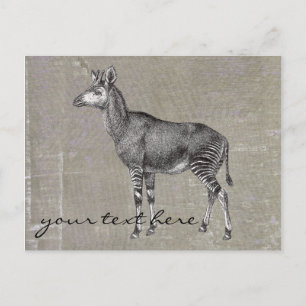 Cartão Postal Vintage Okapi