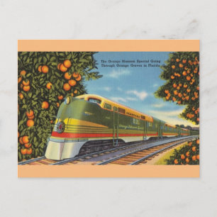 Cartão postal Vintage Orange Blossom Especial Comb