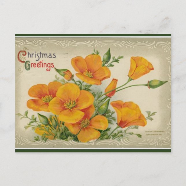 Cartão Postal Vintage Orange Flowers Natal (Frente)