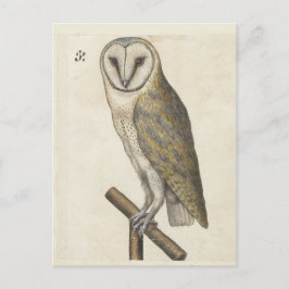 Cartão postal Vintage Owl