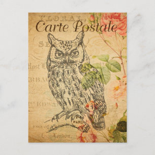 Cartão Postal Vintage Owl Floral Flowers