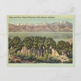 Cartão Postal Vintage Palm Primaveras California Landscape