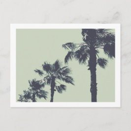 Cartão Postal Vintage Palm Trees