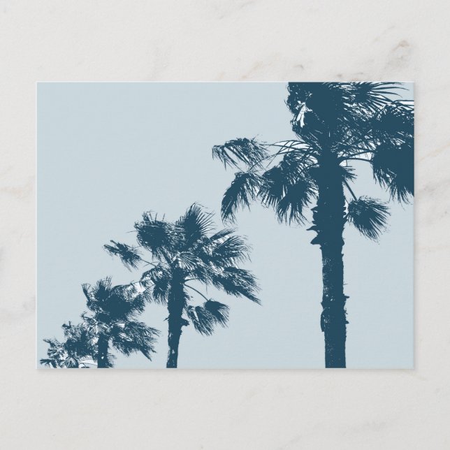 Cartão Postal Vintage Palm Trees (Frente)