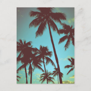 Cartão Postal Vintage Palms Tropicais