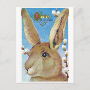 Cartão Postal Vintage Páscoa Big Bunny