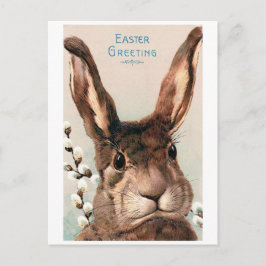 Cartão Postal Vintage Páscoa Pouty Face Bunny