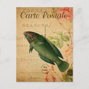 Cartão Postal Vintage Pastel Green Wrasse Fish Floral Francês