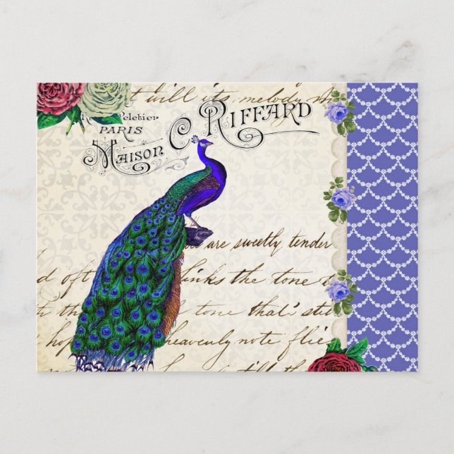 Cartão Postal Vintage Peacock Song Collage (Frente)