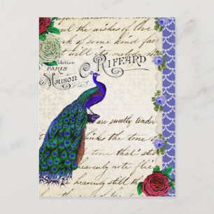 Cartão Postal Vintage Peacock Song Collage