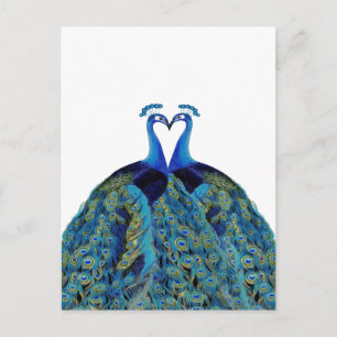 Cartão Postal Vintage Peacocks beijando presentes de casamento
