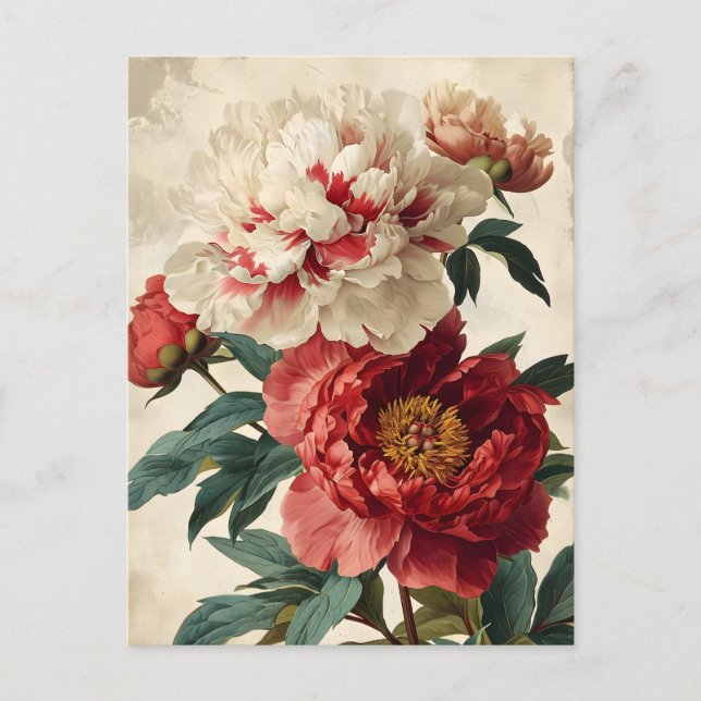 Cartão Postal Vintage Peonies (Frente)