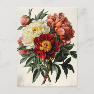 Cartão Postal Vintage Peony: Elegância Floral do Eterno