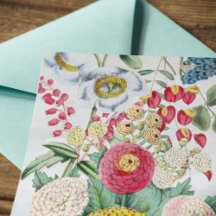 Vintage Personalizado Chrysanthemum Poppy Lilac