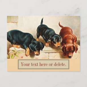 Cartão Postal Vintage Personalizado Retro Funny Cuz Dachshund Pu