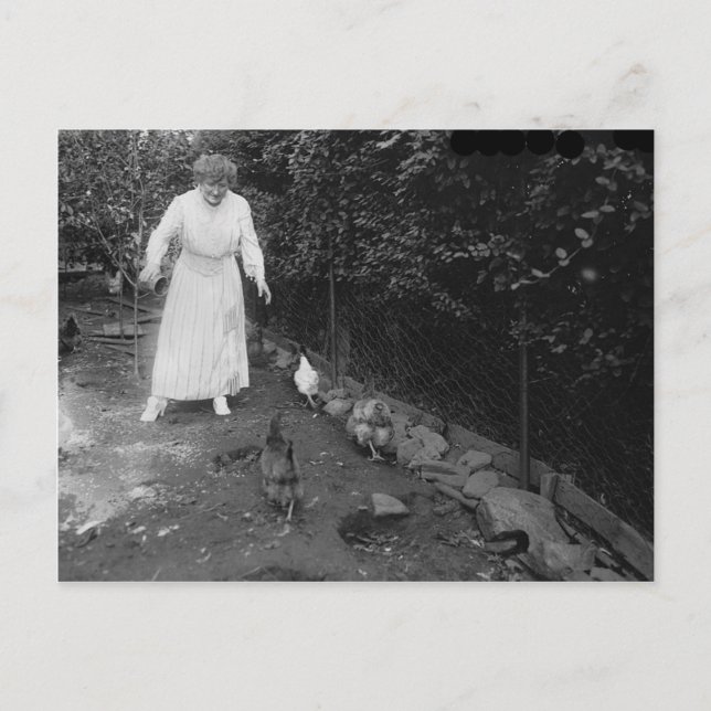 Cartão Postal Vintage Photo (Frente)