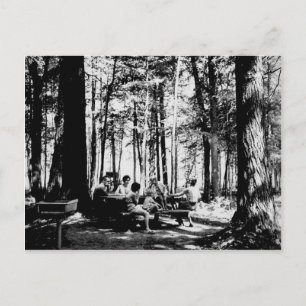 Cartão Postal Vintage Picnic no Gorge Falls, Península Superior
