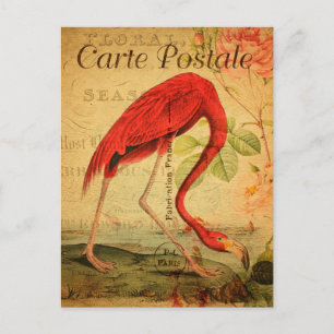 Cartão Postal Vintage Pink flamingo Floral Carte Postale