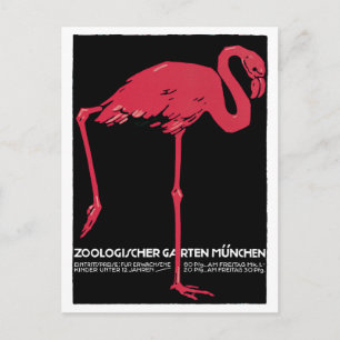 Cartão Postal Vintage Pink Flamingo Munique Zoo