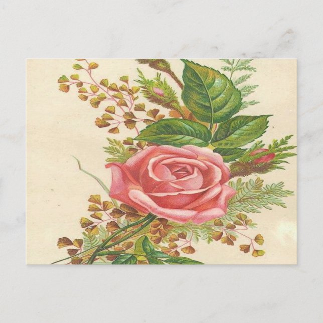 Cartão Postal Vintage Pink Rose (Frente)