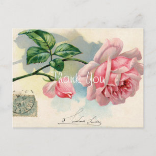 Cartão Postal Vintage Pink Rose Obrigado