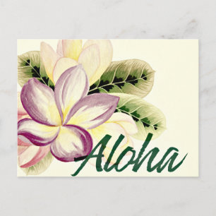 Cartão Postal Vintage Plumeria Aloha
