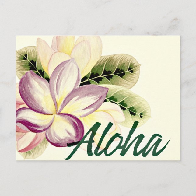 Cartão Postal Vintage Plumeria Aloha (Frente)