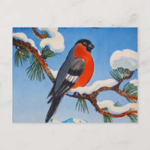 Cartão Postal Vintage Pontresina Vacation Swiss Air Suiça