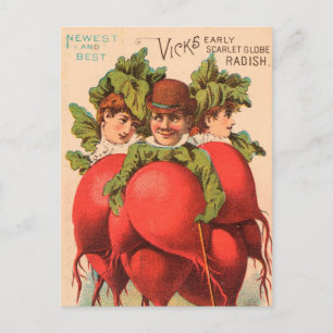 Cartão Postal Vintage : Publicidade agrícola -