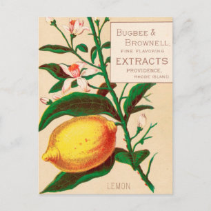 Cartão Postal Vintage : Publicidade comida -