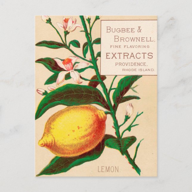 Cartão Postal Vintage: publicidade comida - (Frente)