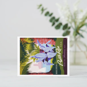 Cartão Postal Vintage Puerto Rico Viagem Tropical Customize