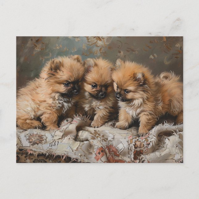 Cartão Postal Vintage Puppy Trio da Pomerânia (Frente)