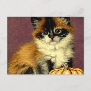Cartão Postal Vintage Ragdoll Halloween Cat