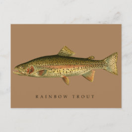 Cartão Postal Vintage Rainbow Trout