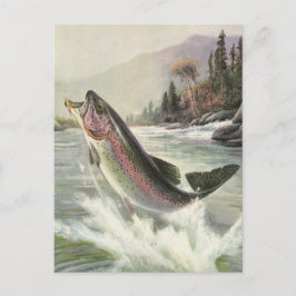 Cartão Postal Vintage Rainbow Trout Pescador Pesca de Peixes