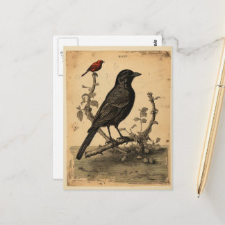 Cartão Postal Vintage Raven & Red Bird