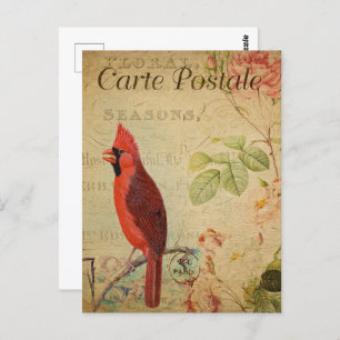 Cartão Postal Vintage Red Cardinal Bird