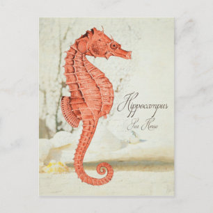 Cartão Postal Vintage Red Sea Horse