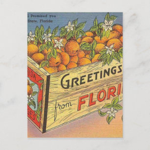 Cartão Postal Vintage Retro Florida Orange