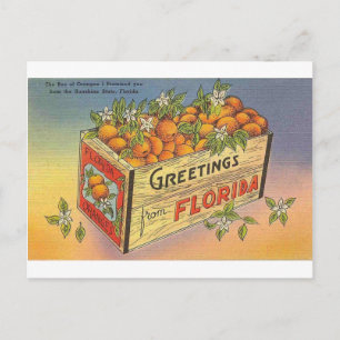 Cartão Postal Vintage Retro Florida Orange