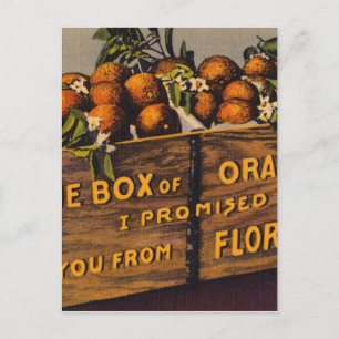 Cartão Postal Vintage Retro Florida Orange